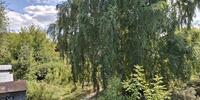 2 700 000 р. Арамиль - Агентство недвижимости Сысертская Усадьба, Сысерть