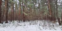2 000 000 р. Сысерть - Агентство недвижимости Сысертская Усадьба, Сысерть