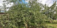 4 200 000 р. Сысерть - Агентство недвижимости Сысертская Усадьба, Сысерть