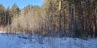 870 000 р. Сысерть - Агентство недвижимости Сысертская Усадьба, Сысерть