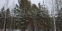 240 000 р. Каменка - Агентство недвижимости Сысертская Усадьба, Сысерть