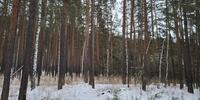 240 000 р. Каменка - Агентство недвижимости Сысертская Усадьба, Сысерть