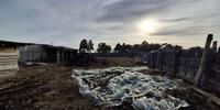 4 800 000 р. Никольское - Агентство недвижимости Сысертская Усадьба, Сысерть