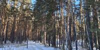 870 000 р. Сысерть - Агентство недвижимости Сысертская Усадьба, Сысерть