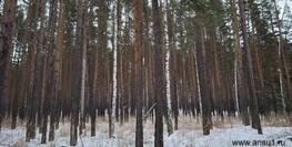 240 000 р. Каменка - Агентство недвижимости Сысертская Усадьба, Сысерть